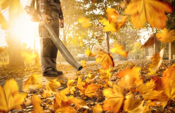 Cost of Leaf Blowing Service in Rotonda West