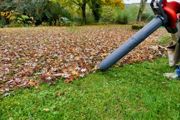 Cost of Leaf Vacuuming Service in Rotonda West