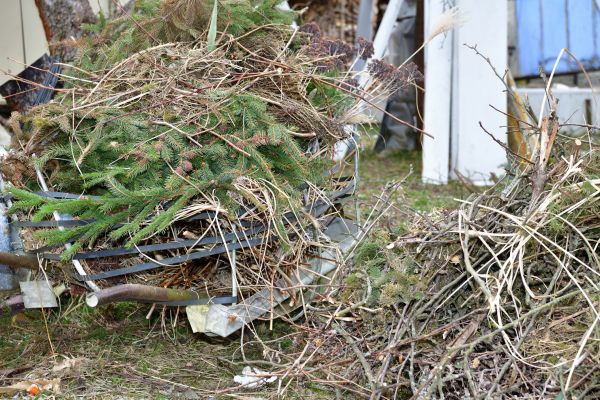 Yard Debris Removal Service