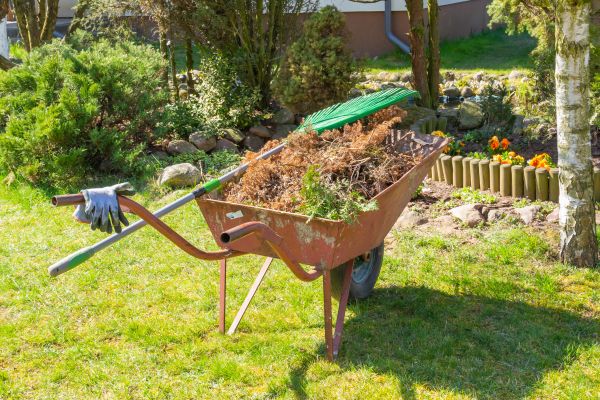 Garden Clean Up