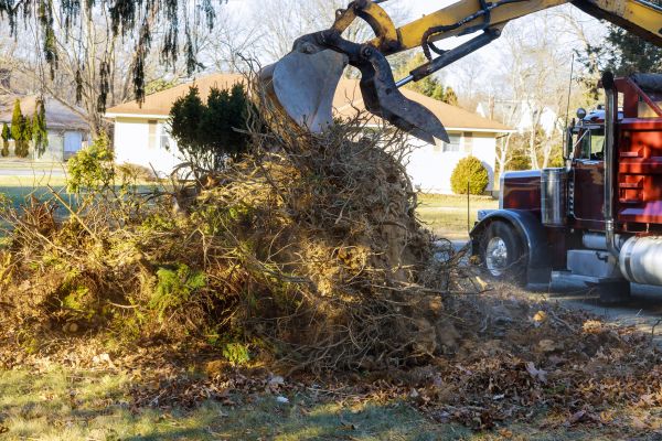 Storm Debris Removal in Rotonda West