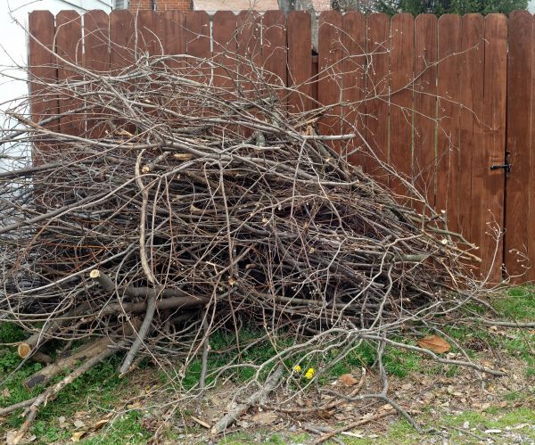 Branch Clearing