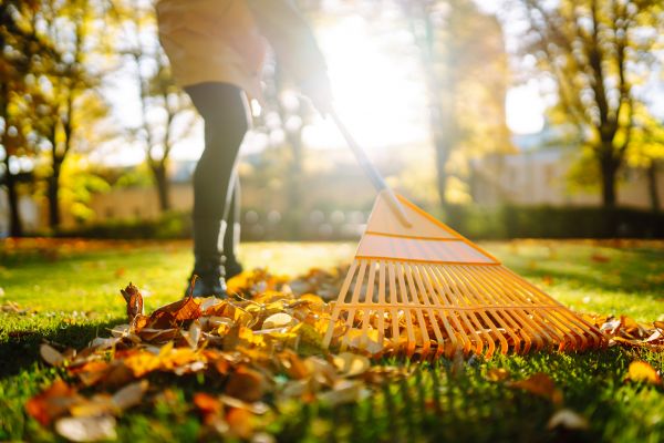 Leaves Raking Service