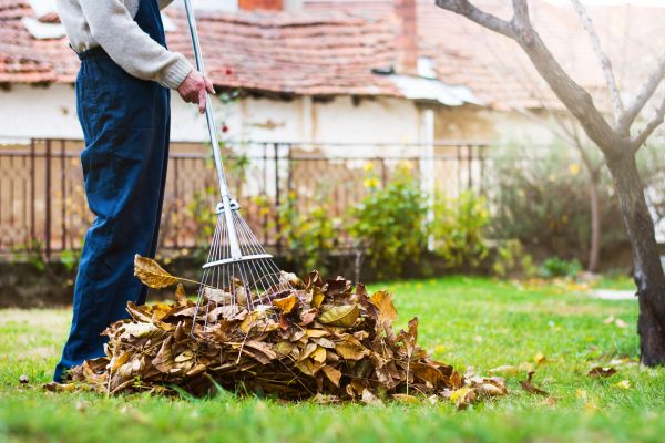 Leaf Management Service