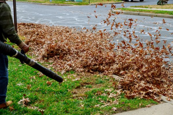 Garden Leaf Removal Service