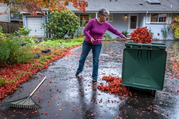Fall Yard Cleanup