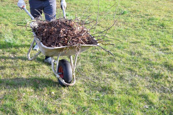 Yard Brush Removal in Rotonda West