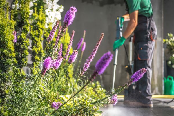 Spring Garden Cleaning