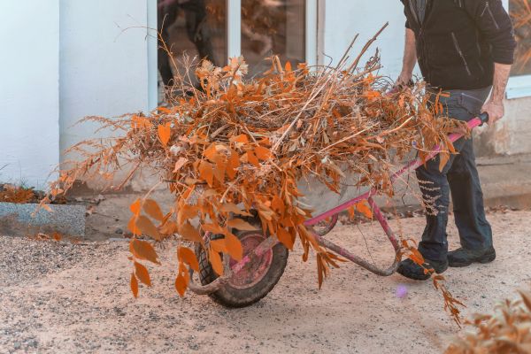 Lawn Debris Cleanup Service