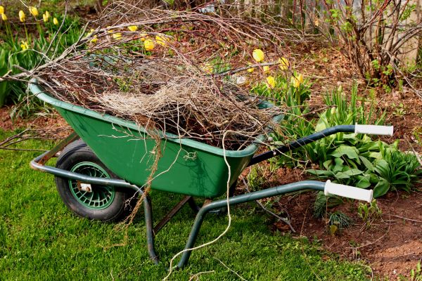 Lawn Waste Removal in Rotonda West