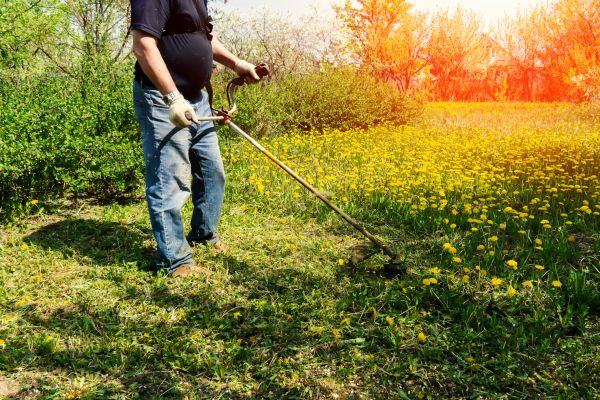 Yard Clearing Service