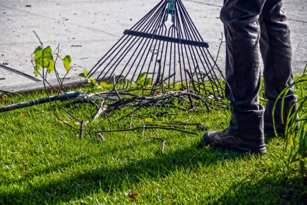 Yard Debris Cleanup Service