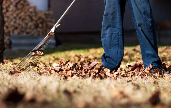Seasonal Yard Maintenance