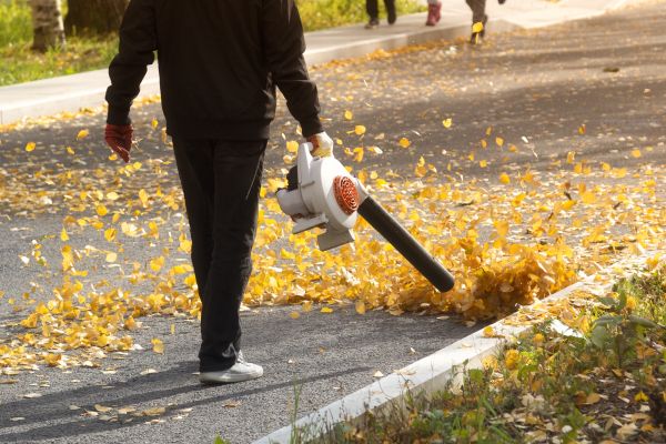 Commercial Leaf Removal Service