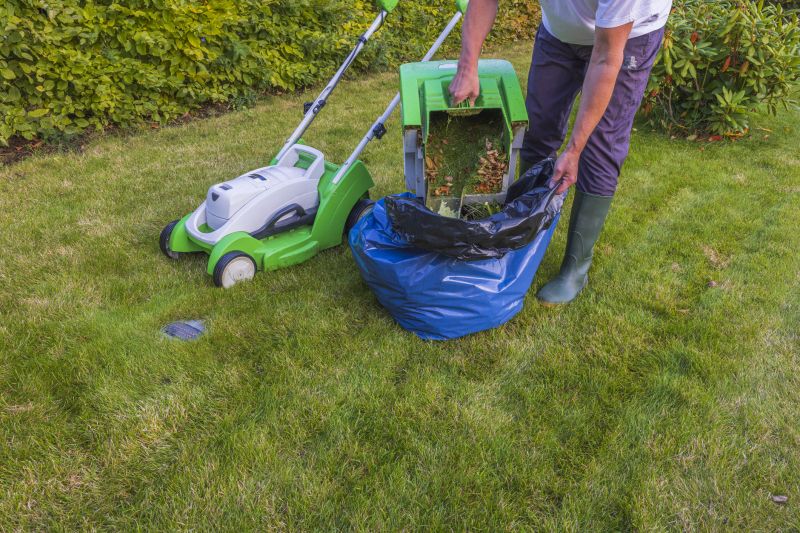 Summer Lawn Maintenance