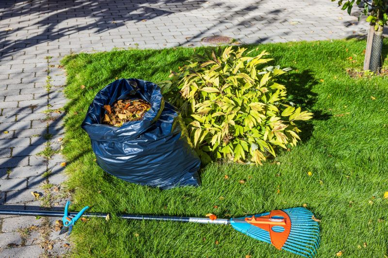 Spring Lawn Cleanup